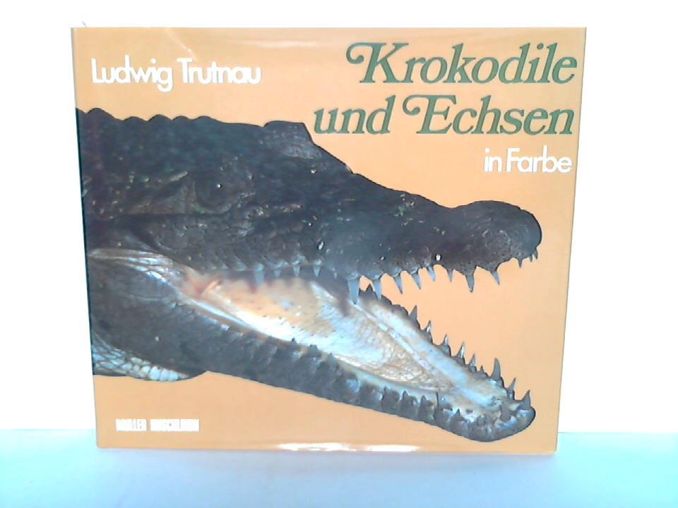 Ohne Bild