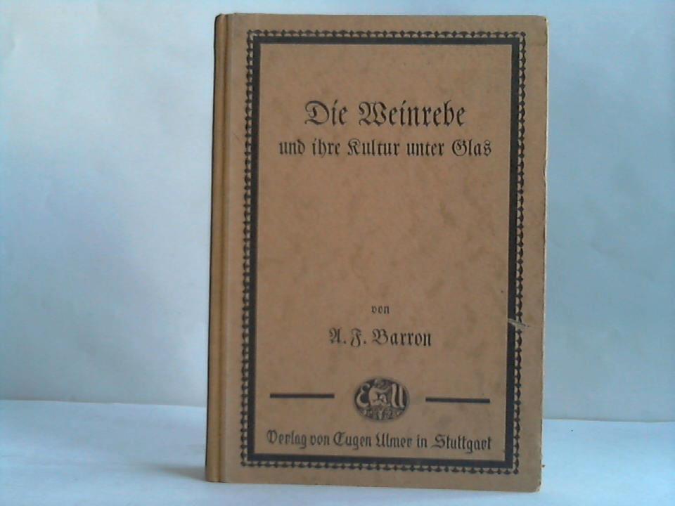 Ohne Bild