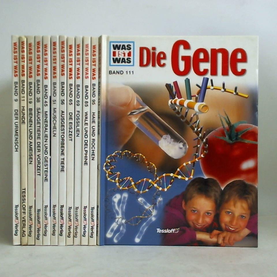 Ohne Bild