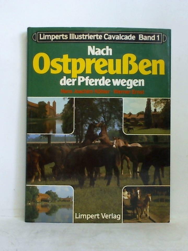 Ohne Bild