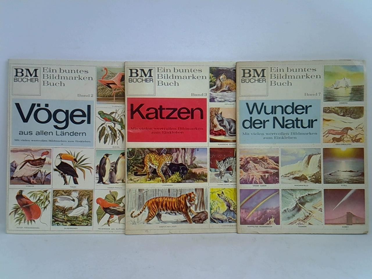 Ohne Bild