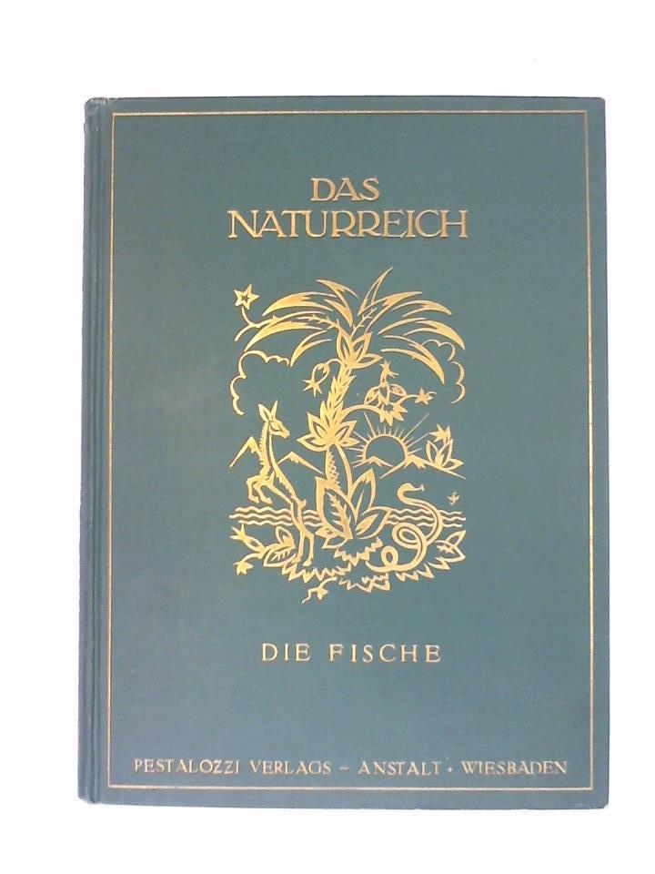 Ohne Bild