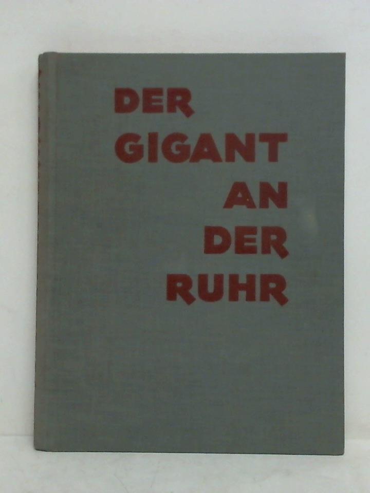 Ohne Bild