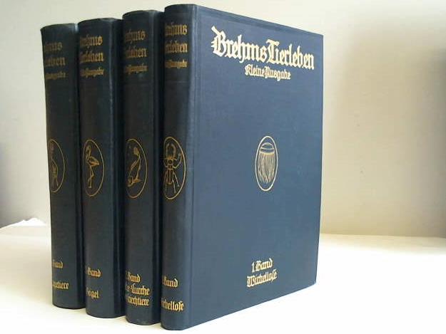 Ohne Bild