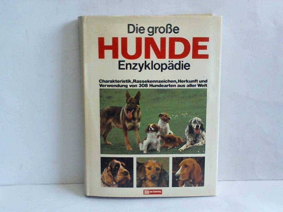 Ohne Bild