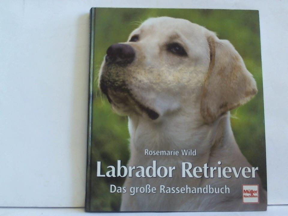 Ohne Bild