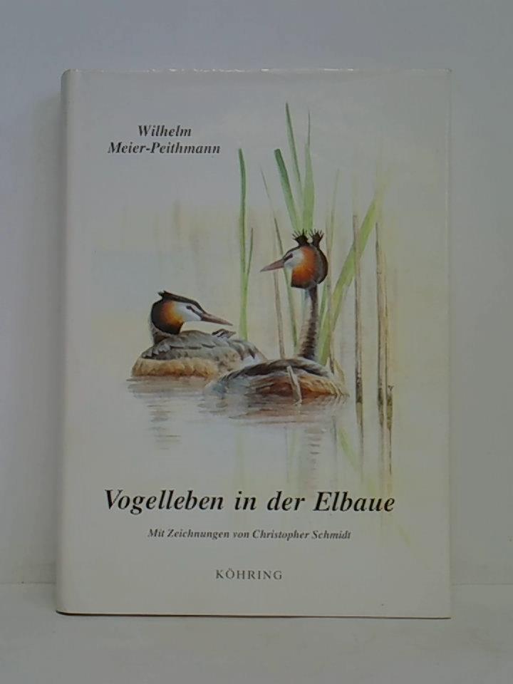 Ohne Bild