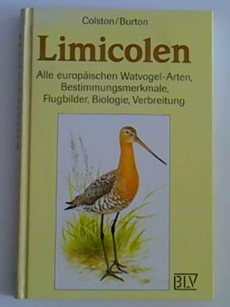 Ohne Bild