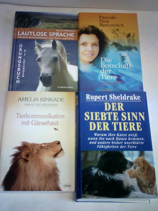 Ohne Bild