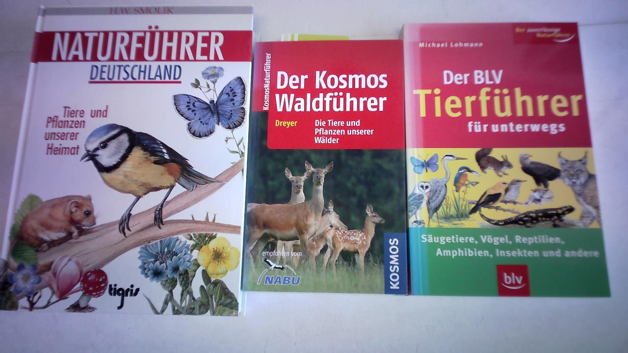 Ohne Bild