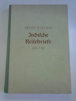 ohne Bild