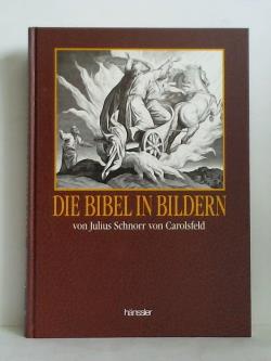 ohne Bild