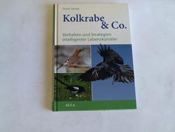 ohne Bild