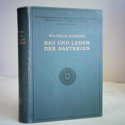 ohne Bild