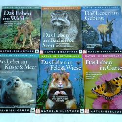 ohne Bild