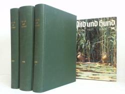 ohne Bild