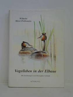ohne Bild