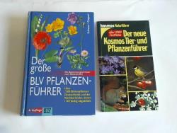 ohne Bild